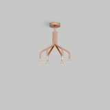 Tulip Suspension Chandelier Eureka Lighting