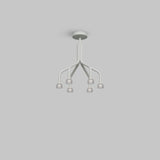 Tulip Suspension Chandelier Eureka Lighting