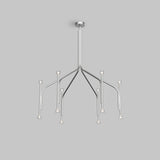 Tulip Suspension Chandelier Eureka Lighting