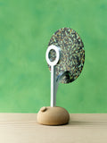 TL-1 Juba Lampe de Table