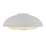 FM495316XXXX Robyn Plafonnier Kuzco