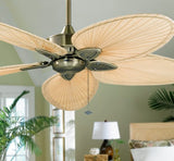 Windpointe Ventilateur Fanimation