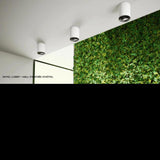 Produits Architecturaux - Plafonnier - Pola Surface - Arancia Lighting